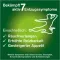Instructions for use for gomma da masticare alla nicorette frutta fresca, 2 mg di nicotina, 210 pezzi - 4