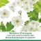 cratae-Loges 450 mg compresse rivestite con film di biancospino, 50 pz