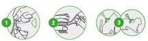 Instructions for use for FRONTLINE COMBO SPOT ON Gatto, 3 pz - 5