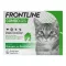 FRONTLINE COMBO SPOT ON Gatto, 6 pz