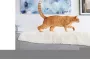 Instructions for use for FRONTLINE COMBO SPOT ON Gatto, 6 pz - 4