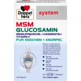 DOPPELHERZ MSM Capsule del sistema di glucosamina, 60 pezzi
