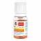 Doppelherz B12 + D3 Duo Active fiale per bere, 8 pz
