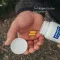 PURE ENCAPSULATIONS Capsule attive Chondro, 60 pezzi