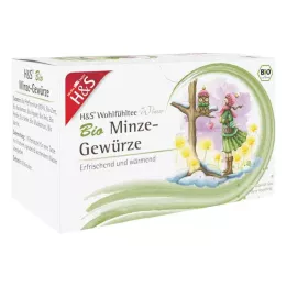 H&amp;S Tè dinverno biologico spezie menta bustina filtro, 20X2,0 g