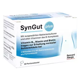 SYNGUT più bustina, 30X2,5 g