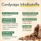 Capsule Green Naturals Cordyceps sinensis, 180 pz