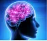 Instructions for use for NEUROPEP Capsule, 30 pz - 2
