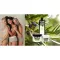 Bagno Doccia Plantana Olive Care con Olivo Biologico, 500 ml