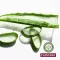 Plantana Aloe Vera Care Bagno Doccia con Aloe Vera Biologica, 500 ml