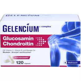 GELENCIUM Glucosamina Condroitina ad alto dosaggio Vit C Kps, 120 pz